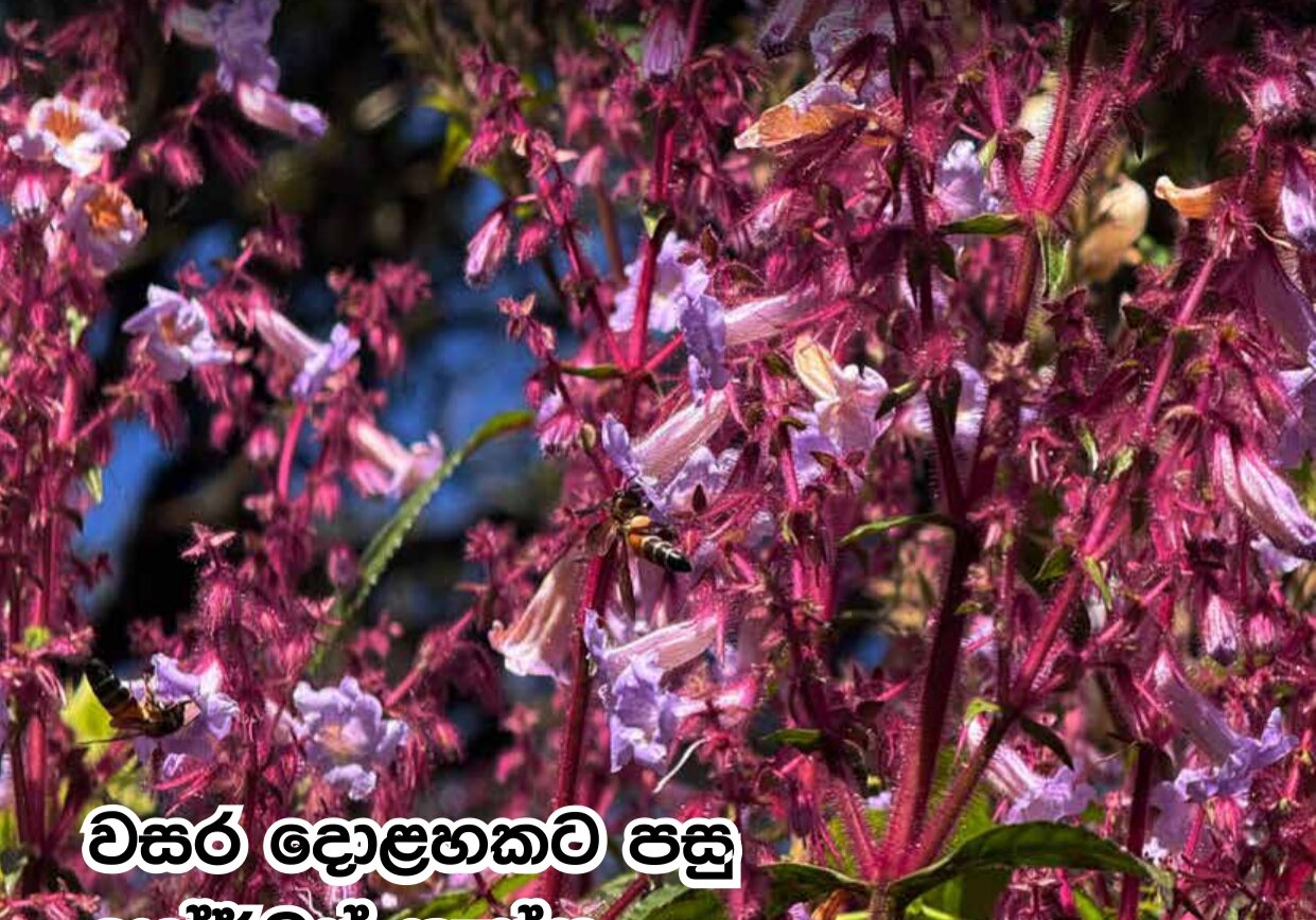 Sanrakshana 06-02 (1)_page-0001