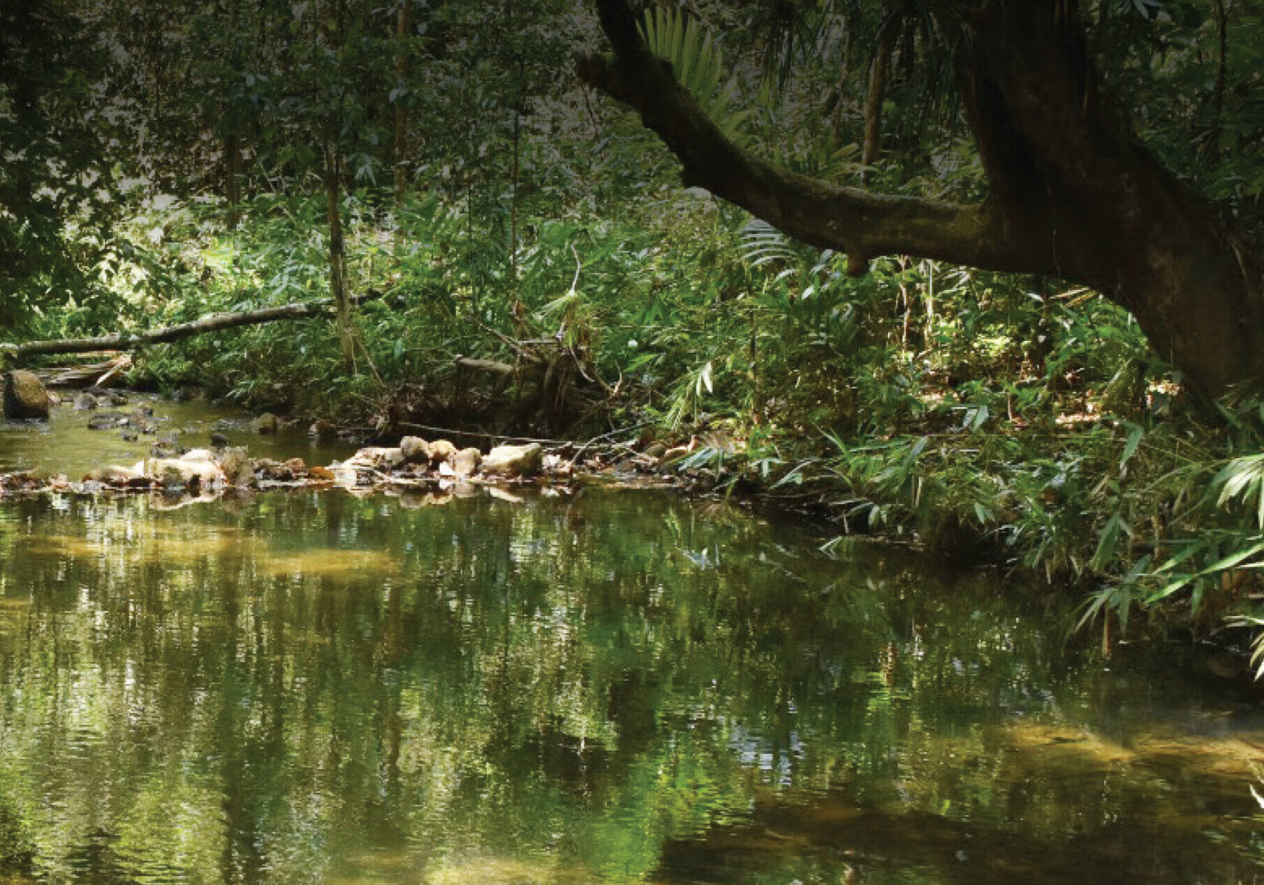 Sanrakshana 2026-1-1