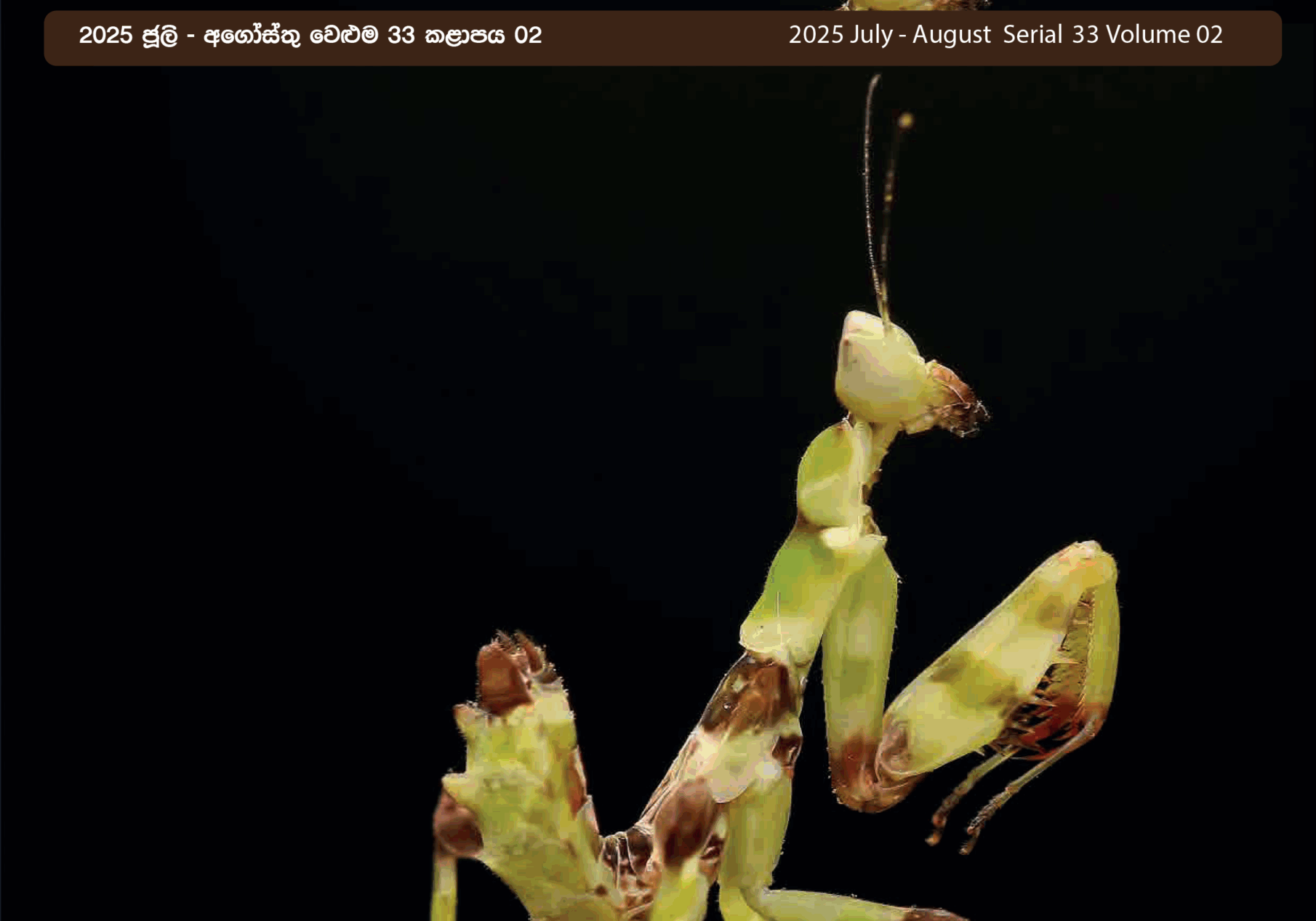 YZA Magazino - 2025-1