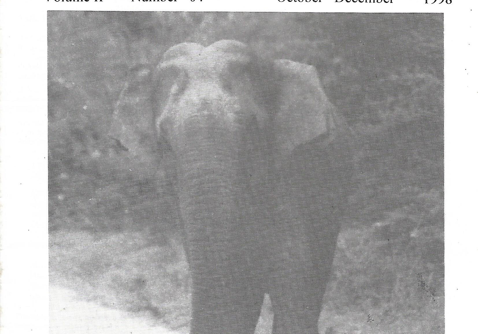 naturalist 1998 vol 2 no 4 p1