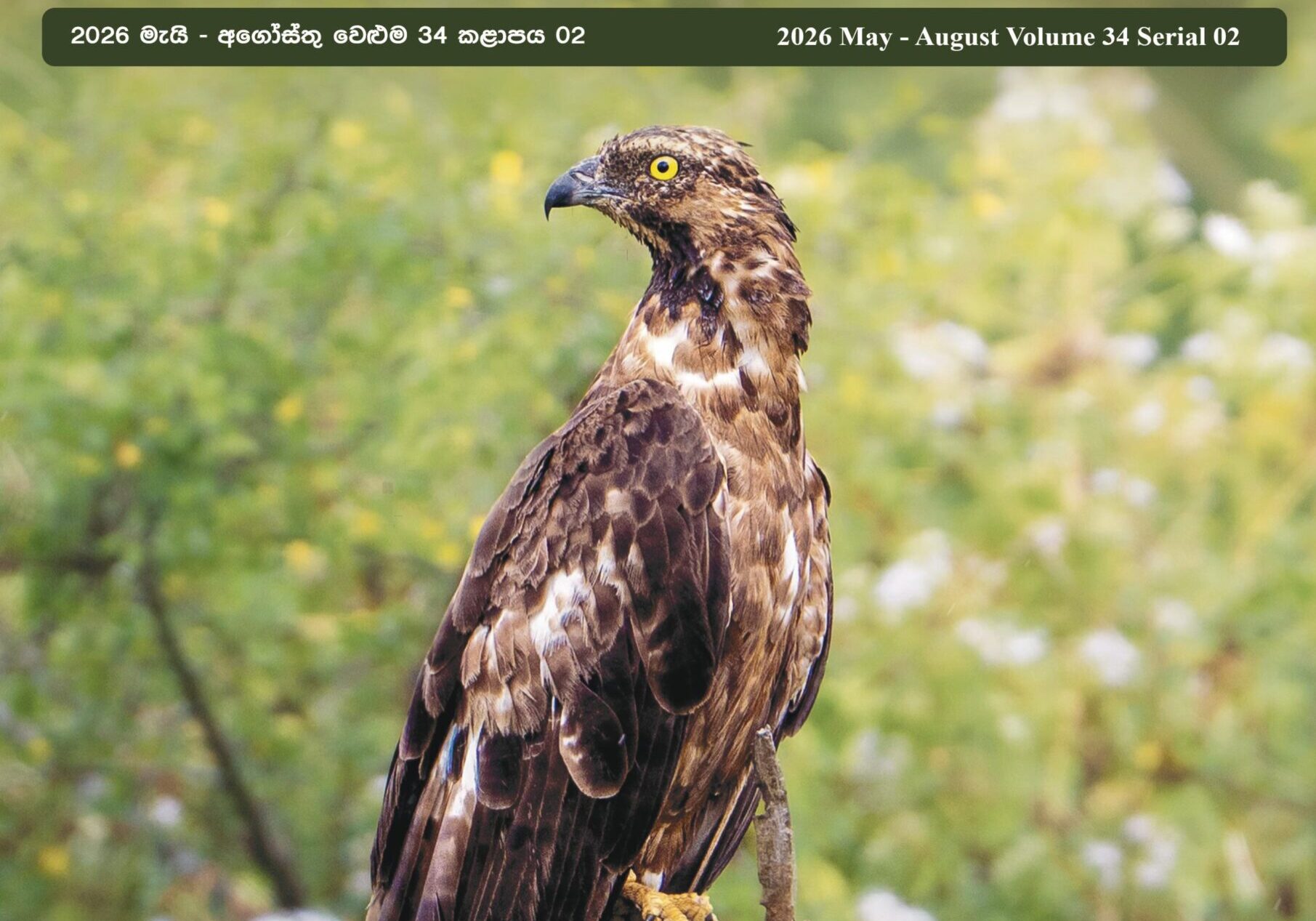 paniudaya August finalized-images-0